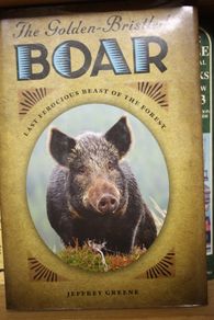 The Golden Bristled Boar.