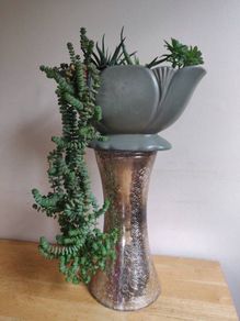 vintage planter plant arrangement in the ceramic pot