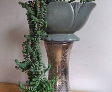 vintage planter plant arrangement in the ceramic pot