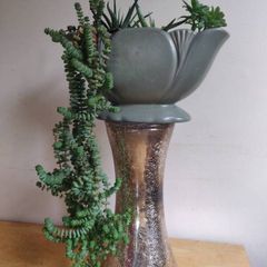 vintage planter plant arrangement in the ceramic pot