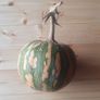 Squash 'Asterix' Irish Seeds Image 5