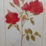 Beautiful Botanical Framed Print Image 6