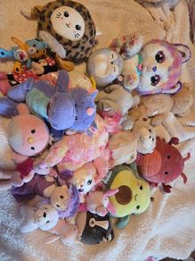 teddies