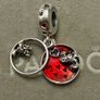 Pandora charm Image 2