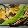 Lg 65 Inch 4k Qned -2024- 120hz - Ai Pro - Image 2