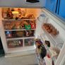 friz and frige Image 4