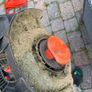 Lawnmower & Strimmer Image 4