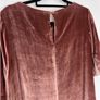Toast Silk Velvet Shift Dress Image 5
