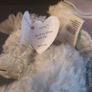 Collection of White & Grey Beanie Bears Image 7