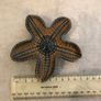 Wade Porcelain Starfish Pin tray Image 2
