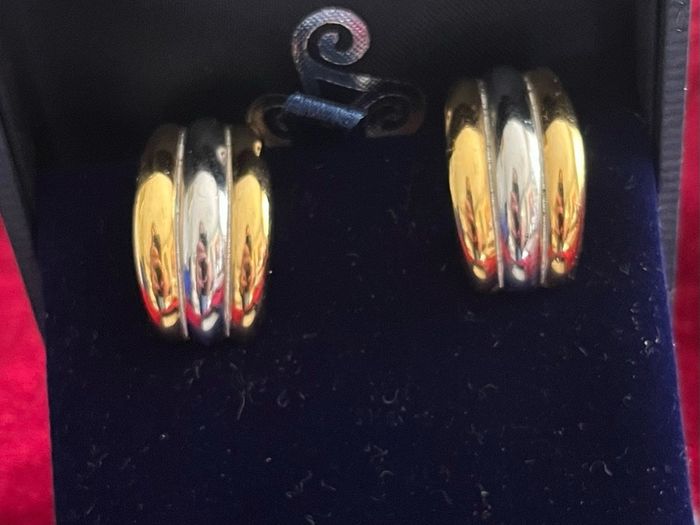 Burberry earrings