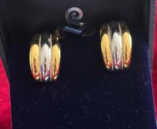 Burberry earrings