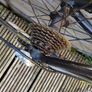 Carrera TDF Road Bike Image 7