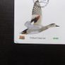 Ireland 2004.Fauna and Flora.Native Ducks.Stamp First Day Cover.FDC. Image 3