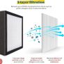 Ozone Free, 750ml/day 2 in 1 Black Dehumidifier/Air Purifier, 20m2 Room Size, LED Lighting & Captures Bacteria, for Home, Kitchen, Basement, Garage, Caravan Image 8