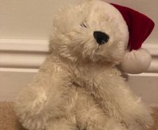White Christmas teddy