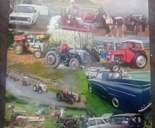 2015 Irish Vintage News (postage included)
