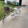 teenage bike Image 3