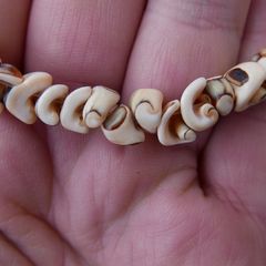 Shell Necklace Tropical Beach Fashion Jewelry