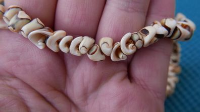 Shell Necklace Tropical Beach Fashion Jewelry
