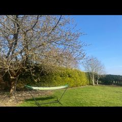 garden hammock
