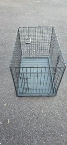 Large dog crate