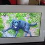 Kodak digital picture frame Image 4