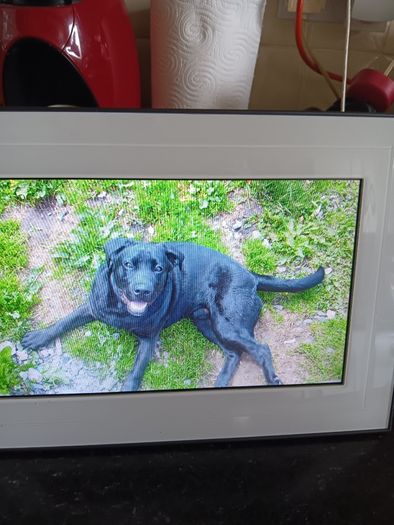 Kodak digital picture frame
