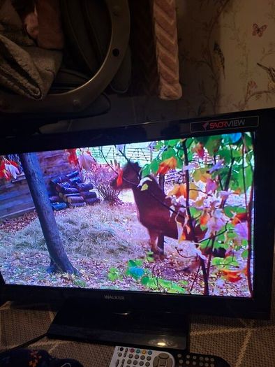 Walker TV with Built In DVD Player