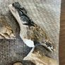 Ceramic Logs for Bioethanol or Gas Fire (5 Pieces) Image 5