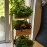 3 Tier planter Image 2