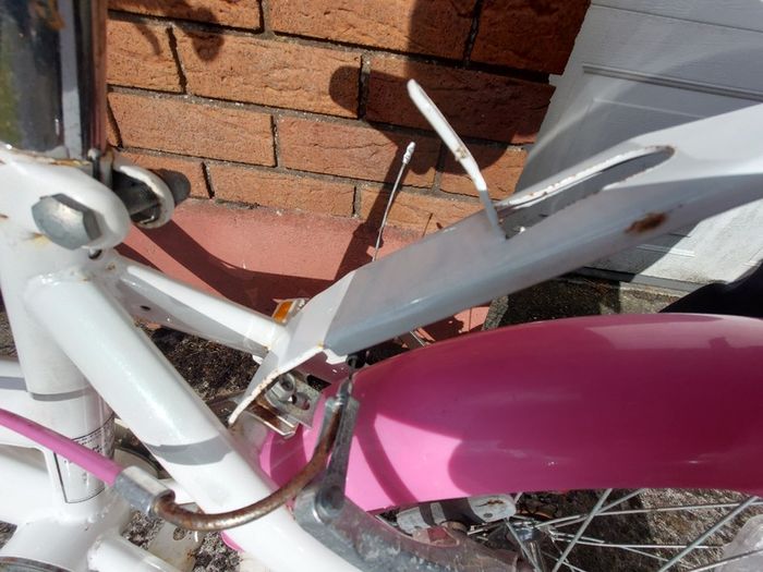 GIRLS BIKE (Sparkle) with Basket, 20 inch wheels, in excellent condition. See Pictures