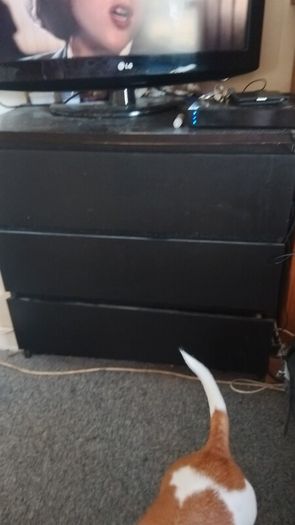 chest of drawers