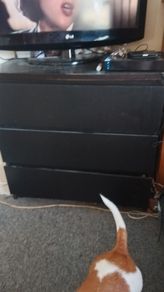 chest of drawers