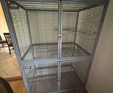 Pet
