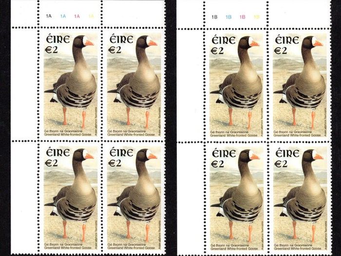 2002-04 Ireland Tenth Definitive series Birds EUR2 Greenland Goose Plate Block 1A1A1A1A & 1B1B1B1B Mint Never Hinged (MNH)