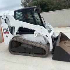 Bobcat