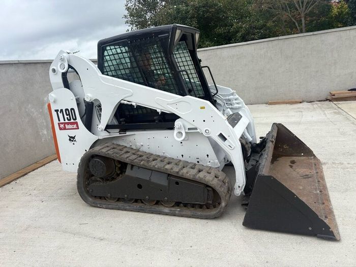 Bobcat