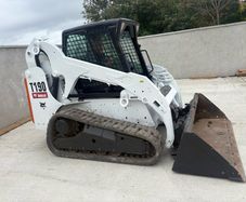 Bobcat