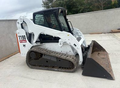Bobcat