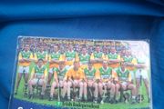 switchcom mint card