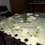 Ravensburger GraviTrax Starter Set - Marble Run Image 4