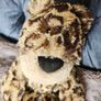 Jellycat Merryday Leopard RARE Image 9