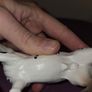 Two Schleich Knabstrupper Horses Image 4