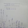 Josh Ritter - Come And Find Me/ Other Side. Single. Image 2