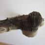 Chinese Fisherman/Sea Serpent Resin Figure Image 5