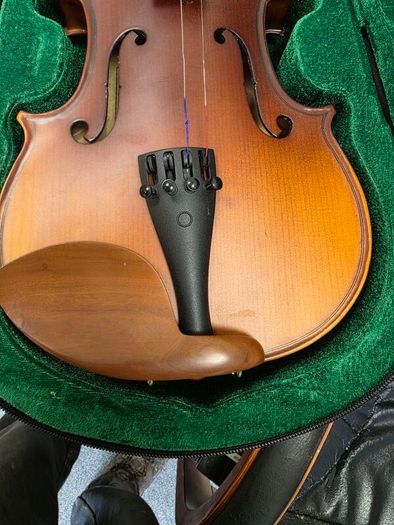 violin