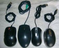 mouse