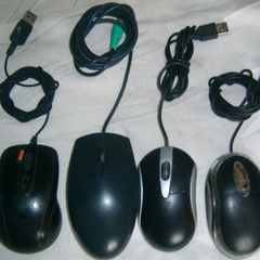 mouse