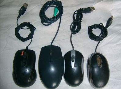 mouse